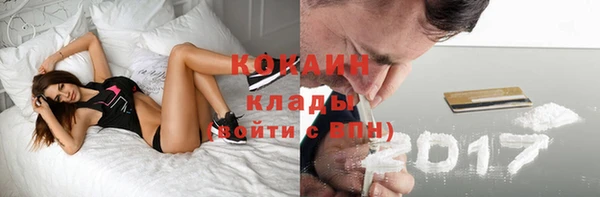 spice Богородицк
