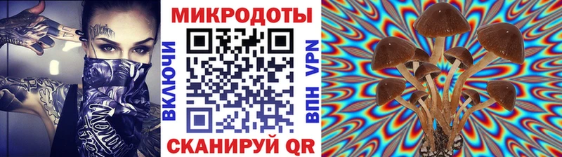 даркнет сайт  Кола  Галлюциногенные грибы Magic Shrooms 
